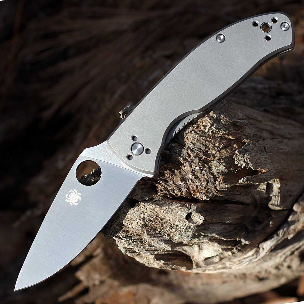 Spyderco Tenacious C122TIP